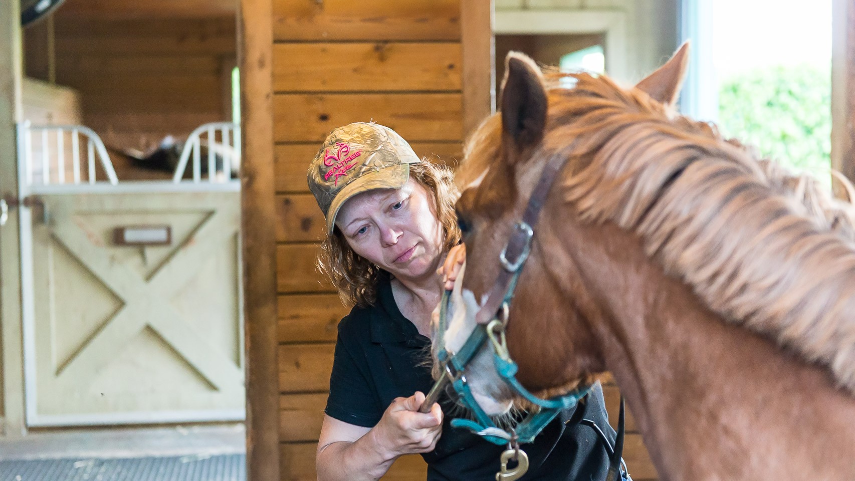 The Horsemanship Dentistry School