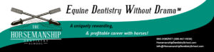 The Horsemanship Dentistry School